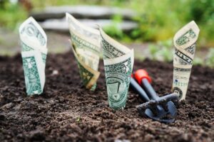 Investeren in Innovatie: De Toekomst van Technologie
